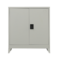 Two-Door Metal Short Cabinet Shelf Storage for Home Office Gym