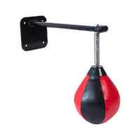 Randy & Travis Wall Mount Boxing Punching Bag Speed Training Kit