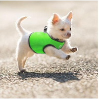 Vest Harness Pet Dog-Cat Step-in Velcro and Buckle Attachments - Moondidley Pets Small Black