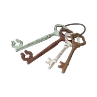 Mixed Rust 4 Keys on Ring 24cm