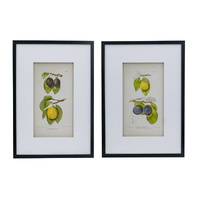eWholesale Set 2 Botanical Wall Decor 70cm