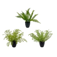 eWholesale Set 3 Artificial Greenery in Pot Assorted 21cm