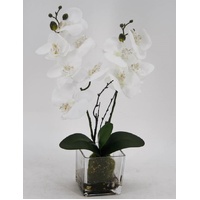 eWholesale Artificial Orchid in Glass Pot 10x45cm
