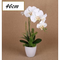 eWholesale Artificial Orchid Single Stem 46cm | Plastic Pot