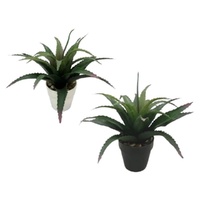 eWholesale Artificial Aloe Vera Plant Set 2 Pack 25cm