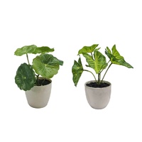 eWholesale Set 2 Artificial Taro & Lotus Plants Plastic Pot 7x15cm