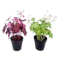 eWholesale Set 2 Artificial Oxalis Triangularis Plants Plastic Pot 10x35cm