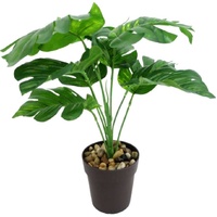 eWholesale Set 2 Artificial Monstera in Pot Assorted 30cm