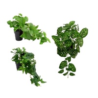 eWholesale Set 3 Artificial Peacock Plant in Pot Assorted 38cm