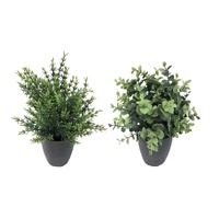 eWholesale Set 2 Artificial Grass in Pot Assorted 25cm