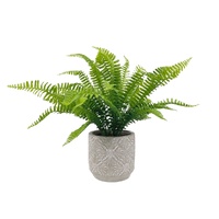 Artificial Fern in Ceramic Pot 43cm