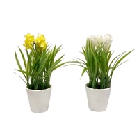 eWholesale Set 2 Artificial Flowers in Pot 23cm