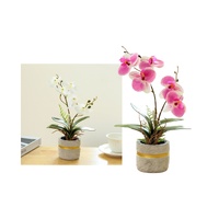 eWholesale Set 2 Artificial Orchid in Cement Pot 27cm