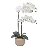 eWholesale Real Touch Artificial Orchid Pot 50cm