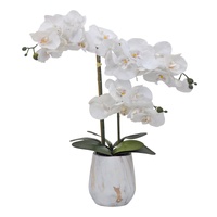 eWholesale Real Touch Artificial Orchid Pot 55cm