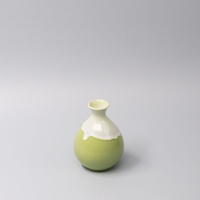 eWholesale Sake Jug 300ml Pistachio White Drip