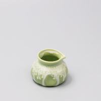 eWholesale Pourer 120ml Pistachio White Drip