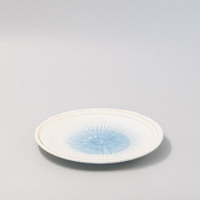 eWholesale Organic 25cm Okinawa Glaze Plate