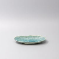 eWholesale Sushi Plate 21cm Crackle Turquoise Glaze