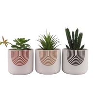 eWholesale Set 3 Rainbow Ceramic Pot Planter 13cm