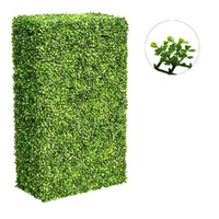 eWholesale Large Portable Boxwood Hedge UV Resistant 100cm x 200cm