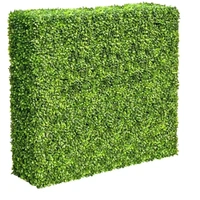Mixed Boxwood Hedge UV Resistant 75cm Long x 75cm High