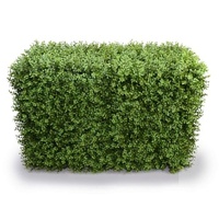 eWholesale Deluxe Buxus Hedge 100cm x 50cm UV Resistant