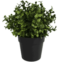 eWholesale Small Potted Artificial Buxus Plant 20cm UV Resistant