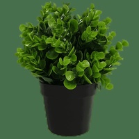 eWholesale Small Potted Artificial Peperomia 20cm UV Resistant
