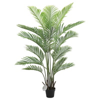 eWholesale Premium Areca Palm Tree Real Touch 160cm
