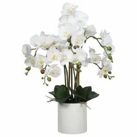 eWholesale White Faux Orchid Multi-Stem Potted 65cm