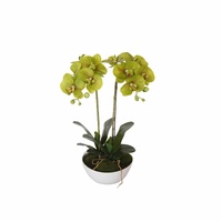 eWholesale Two Stem Butterfly Artificial Orchid Cream 50cm