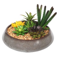eWholesale Potted Artificial Succulents with Decorative Bowl 19cm