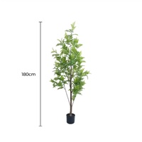 eWholesale Real Touch Artificial Bracken Palm Tree 180cm