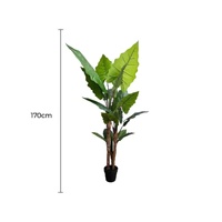 eWholesale Artificial Taro Elephant Ear Palm Tree 170cm