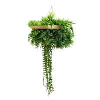 eWholesale Gold Framed Roof Hanging Disc 40cm UV Resistant Plants