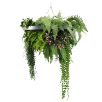 eWholesale Silver Framed Roof Hanging Disc 60cm UV Resistant Plants