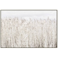 eWholesale Pampas Grass Framed Canvas Wall Art 120cm