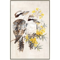 eWholesale Kookaburra Golden Wattle Framed 120cm Print