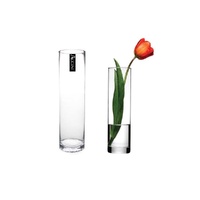 bulk 12 Glass Cylinder Vase Flower 20cm