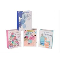 Bulk 24 Birthday Delight Gift Bag Xlrg 42x31x12cm 4 Asst