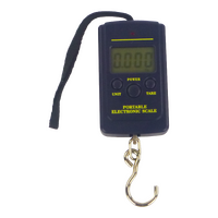 Rig Ezy Portable Electronic Scales 40kg Capacity