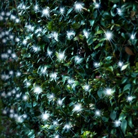 Solar LED Net Lights 150 LEDs Multi-Colour Christmas Outdoor