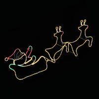LED Ropelight Double Reindeer Sleigh Twinkle Christmas Lights