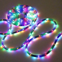 LED Ropelight 20m Flashing Multicolor Christmas Decoration