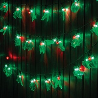 LED Holly Lights 40 Pack Christmas Outdoor Decoration