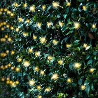 Battery Operated 180 LED Net Lights - Cool White
