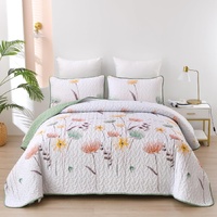 styleforhome Intricate Quilted Coverlet and Pillowcases Set Queen