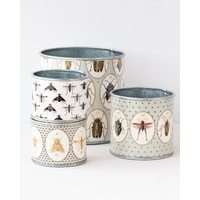 Bugtasia Taupe Tin Planter - Set of 4