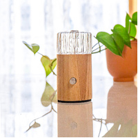 Amrita Court NOVA Ezy Eco-Friendly Waterless Aroma Diffuser